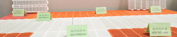 云顶国际